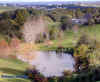 Pond in 1999
